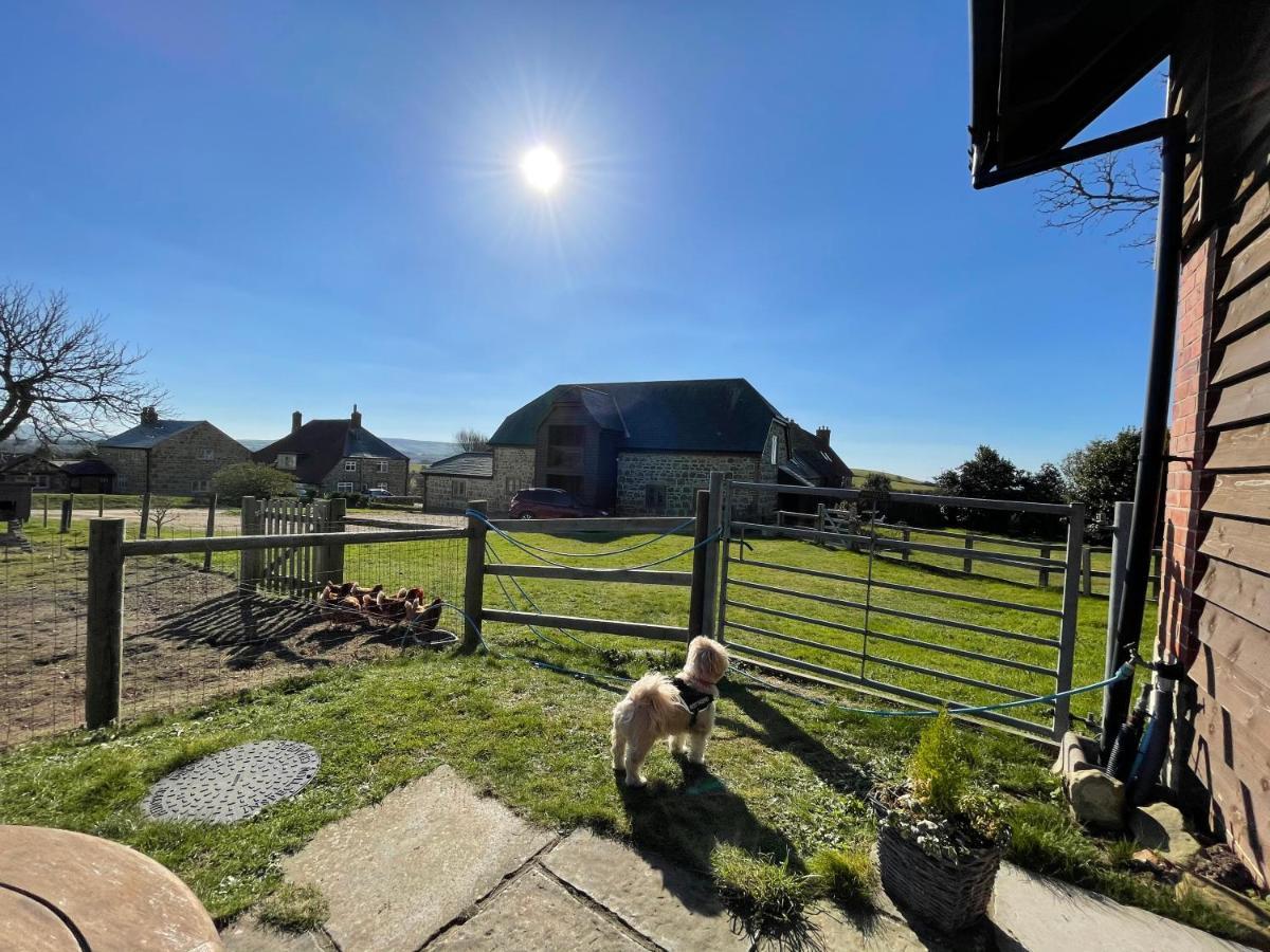 Surf Shack - Impeccable 1-Bed Cottage In Shorwell Exterior photo